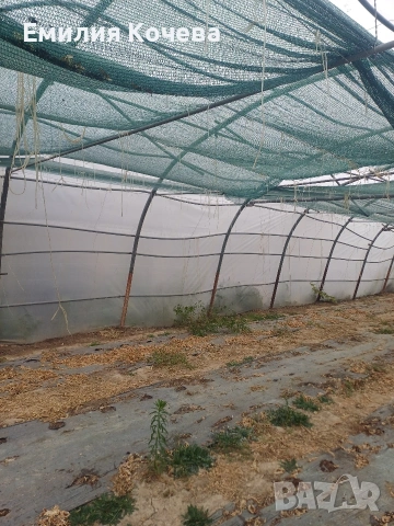 Продавам оранжерия , снимка 2 - Оранжерии - 53282195
