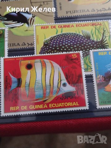 Пощенски марки две серии ЕКВАТОРИАЛНИ РИБИ ПЕРФЕКТНИ за КОЛЕКЦИЯ 37885 , снимка 9 - Филателия - 40476455