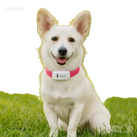 Тракер за домашен любимец - GPS локатор, снимка 8 - За кучета - 53224192