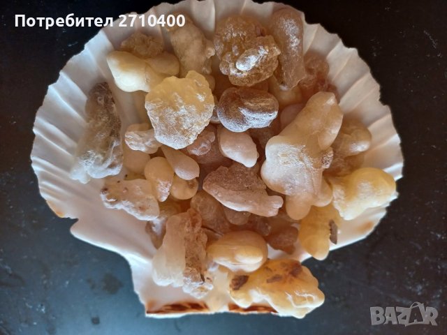 Тамян.Фаворитът.От Оман.Босвелия сакра.Арабски тамян Ходжари От Дофар, снимка 2 - Други - 37083493