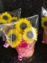 Слънчогледи в кашпи, снимка 5