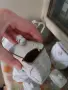 Стар порцеланов сервиз за подправки, снимка 6