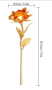 Златна Роза ♡ Golden rose ♡ Красив Подарък roza, снимка 5