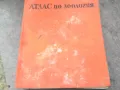 АТЛАС ПО ЗООЛОГИЯ 1974 1002250452, снимка 1