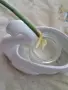 Продавам хоя кери сплаш , снимка 5
