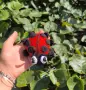 Плетена играчка Калинка, снимка 2