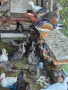 Патета Каролинки и Мандаринки чифт, снимка 1