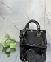 Louis Vuitton дамски чанти Различни цветове, снимка 7