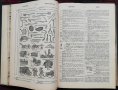 Пъленъ илюстрованъ френско-български речникъ въ четири тома. Томъ 1 Драганъ Фетваджиевъ, снимка 4