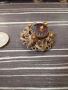 Стара позлатена брошка , снимка 3