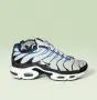 Nike Air Max TN размер 41, снимка 1