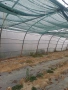Продавам оранжерия , снимка 2