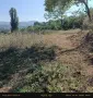 Парцел в вилната зона на Прилепци, снимка 1