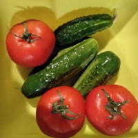 СЕМЕНА  от домати, пипер, камби и др. , снимка 6 - Сортови семена и луковици - 42767392