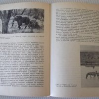 Книга "Биогеография на континентите-П.П.Второв" - 288 стр., снимка 7 - Специализирана литература - 42599239