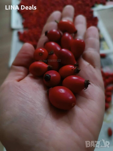 Домашен шипков мармалад или шипки по заявка, снимка 1