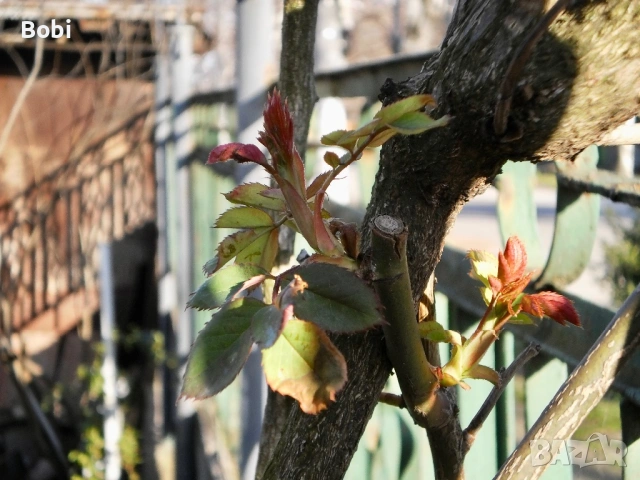 Olympus T-100 – комплект, готова за снимане, снимка 15 - Фотоапарати - 53895272