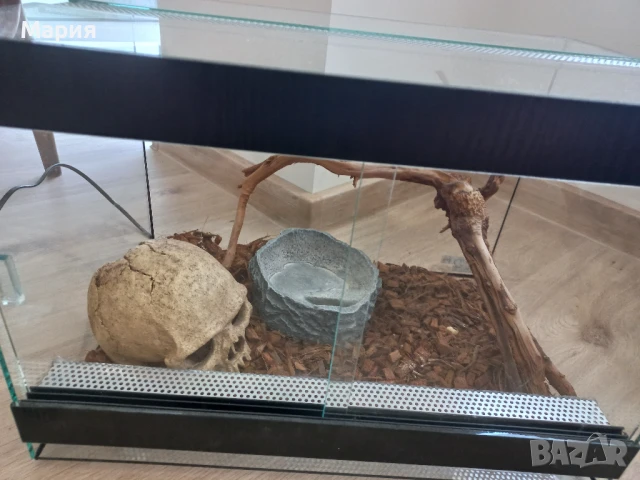 Оборудван терариум за влечуги 45/30/30, снимка 2 - Терариуми и оборудване - 51144166