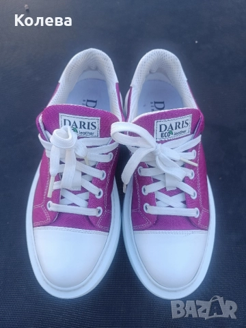 Кецове Daris циклама