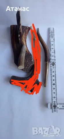 Изделия от еленов рог , снимка 2 - Декорация за дома - 45494678