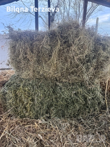 Бали сено и лицерна, снимка 3 - За селскостопански - 53881747