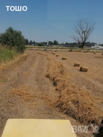 люцерна, ечимичена и овесена слама със зърно 