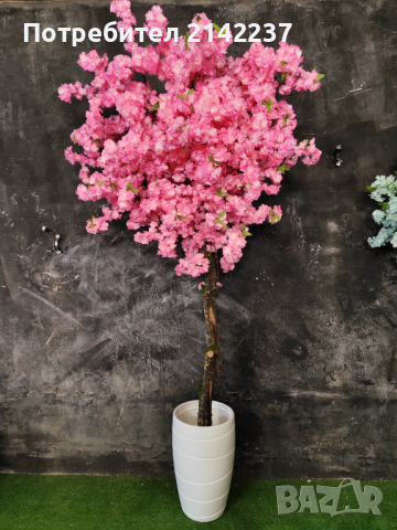 Изкуствени дръвчета , снимка 3 - Изкуствени цветя - 44702097