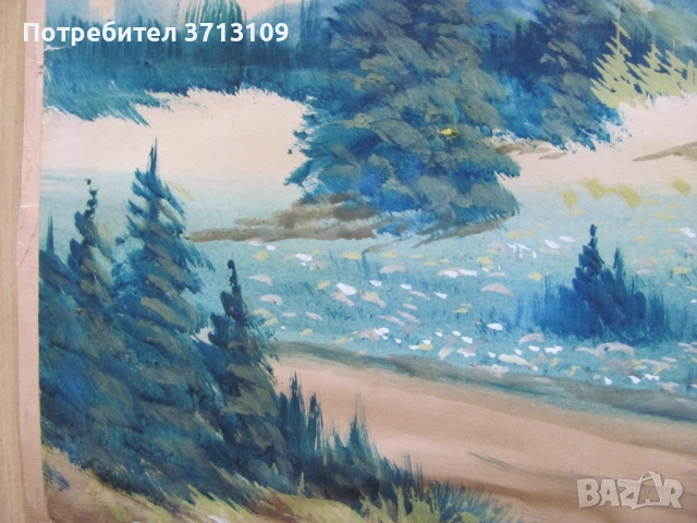 Картина смесена техника, Иван Ботушаров , подпис 40х30 см., снимка 4 - Картини - 51521969