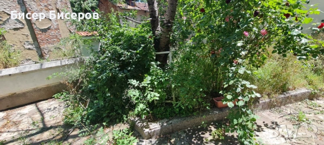 Косене на трева и храсти , снимка 2 - Други почистващи услуги - 51556849