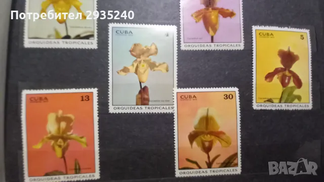 Марки Куба, снимка 4 - Филателия - 50367821