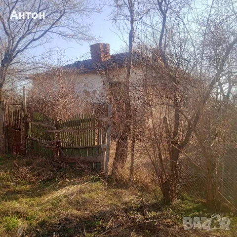 Продавам къща с двор е с.Тошевци община Видин, снимка 10 - Къщи - 48732939