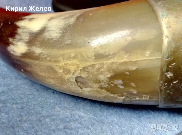 Стар БИВОЛСКИ РОГ с РЪЧНО ОРНАМЕНТИРАН МЕЛХИОРЕН ОБКОВ За КОЛЕКЦИЯ ТЕМАТИЧНА ЛОВНА ДЕКОРАЦИЯ 47817, снимка 13 - Декорация за дома - 47971955