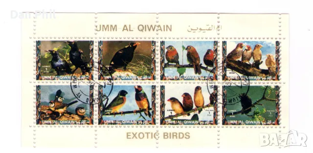 Ум ал-Куейн (ОАЕ) 1972 "Екзотични птици" - Mалък лист, клеймо СТО, снимка 1