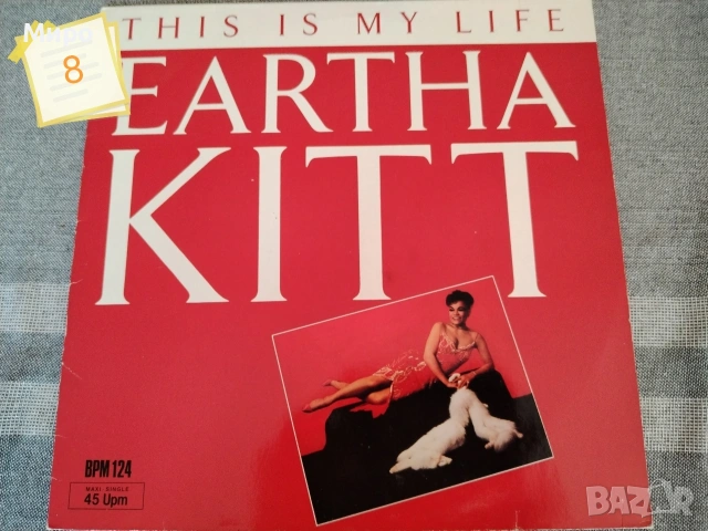 Грамофонни плочи 5, снимка 12 - Грамофонни плочи - 54044349