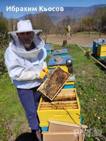 Пчелни кошери - Кошери - Pchelni kosheri - Kosheri , снимка 4 - За пчели - 40275469