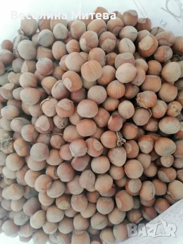 Продавам лешници