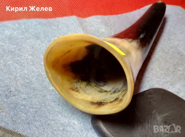 Стар БИВОЛСКИ РОГ РЪЧНО ГРАВИРАН с ПАЛМИ За КОЛЕКЦИЯ ДЕКОРАЦИЯ ДОМАШНА УКРАСА 47836, снимка 2 - Колекции - 47971872