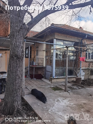 къща с двор в с.Глушник, снимка 8 - Къщи - 51624753