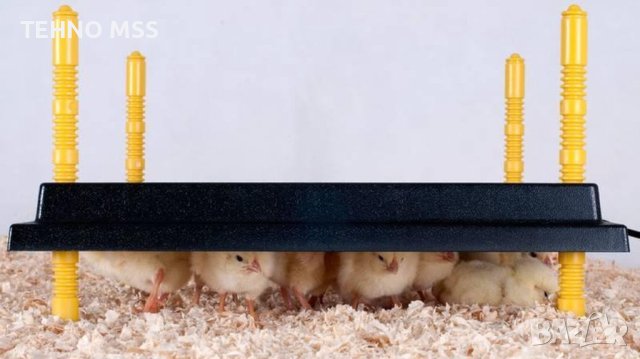 Нагревателни затоплящи плочи, Изкуствена квачка за пилета MS-25x25/ 60x45см, снимка 9 - За птици - 42495085