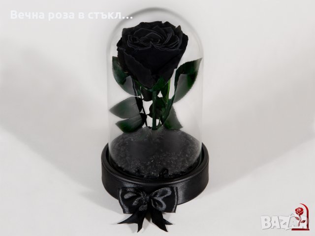 Подарък за Жена / ЕСТЕСТВЕНА Вечна Черна Роза в Стъкленица / Оригинален и Ръчно Изработен Подарък, снимка 2 - Декорация за дома - 30836503