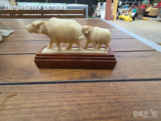 Воден бивол!!!!, снимка 3 - Други животни - 56192685