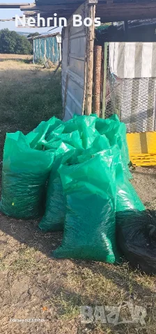 merlo zaharnosta 24 , снимка 11 - Крави - 55874089