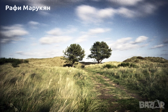 КЛАСИЧЕСКИ обективи "NIKON" байонет F-перфектни, снимка 8 - Фотоапарати - 52812346