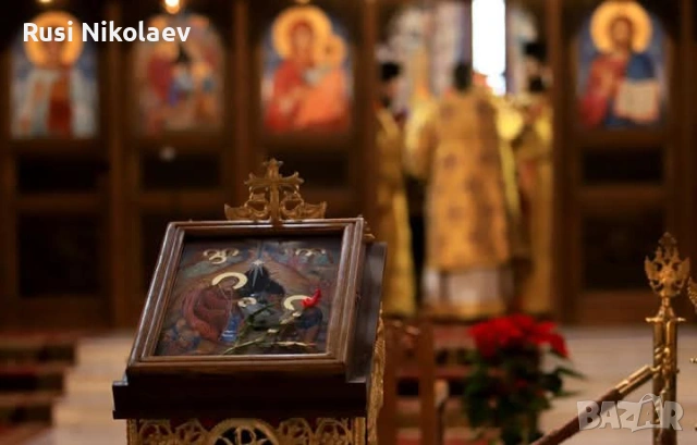 Ясновитка станка , снимка 2 - Събиране на разделени двойки - 54234378