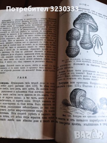 "Св. история"И Р.Блъсков 1895г.+Ботаника, снимка 6 - Антикварни и старинни предмети - 40739785