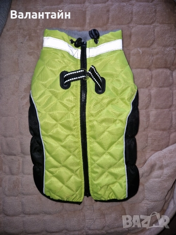 Яке за куче среден размер , снимка 4 - За кучета - 43222033