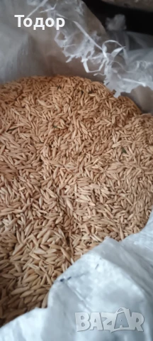 Продавам овес.