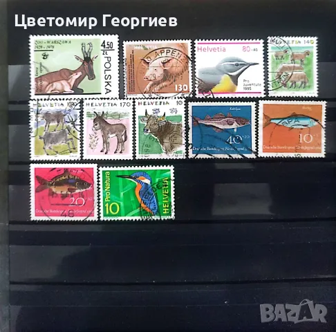 Животни 154 бр.марки. К.1, снимка 5 - Филателия - 48878418