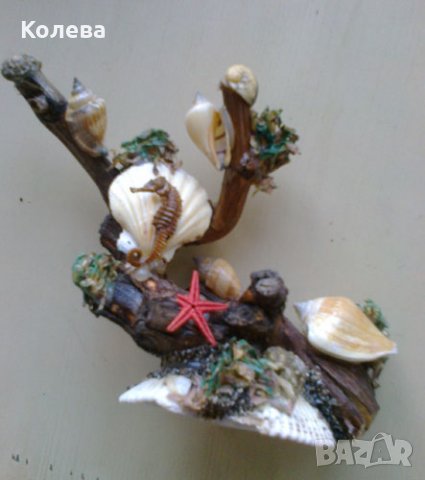 Морски сувенир, снимка 2 - Декорация за дома - 30303590