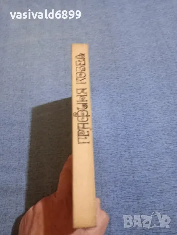 Юзеф Крашевски - Графиня Козел , снимка 2 - Художествена литература - 50342655